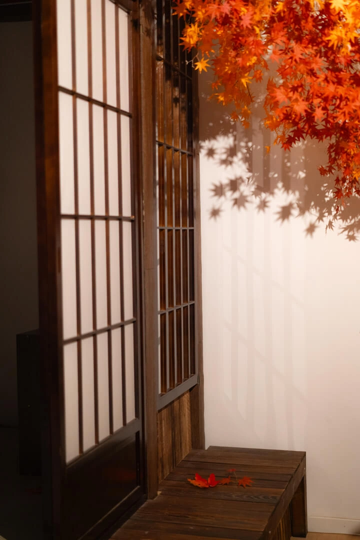 攝影棚場景，楓葉佈置